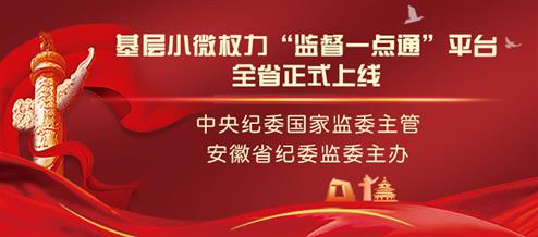 基层小微权力“监督一点通”平台全省正式...